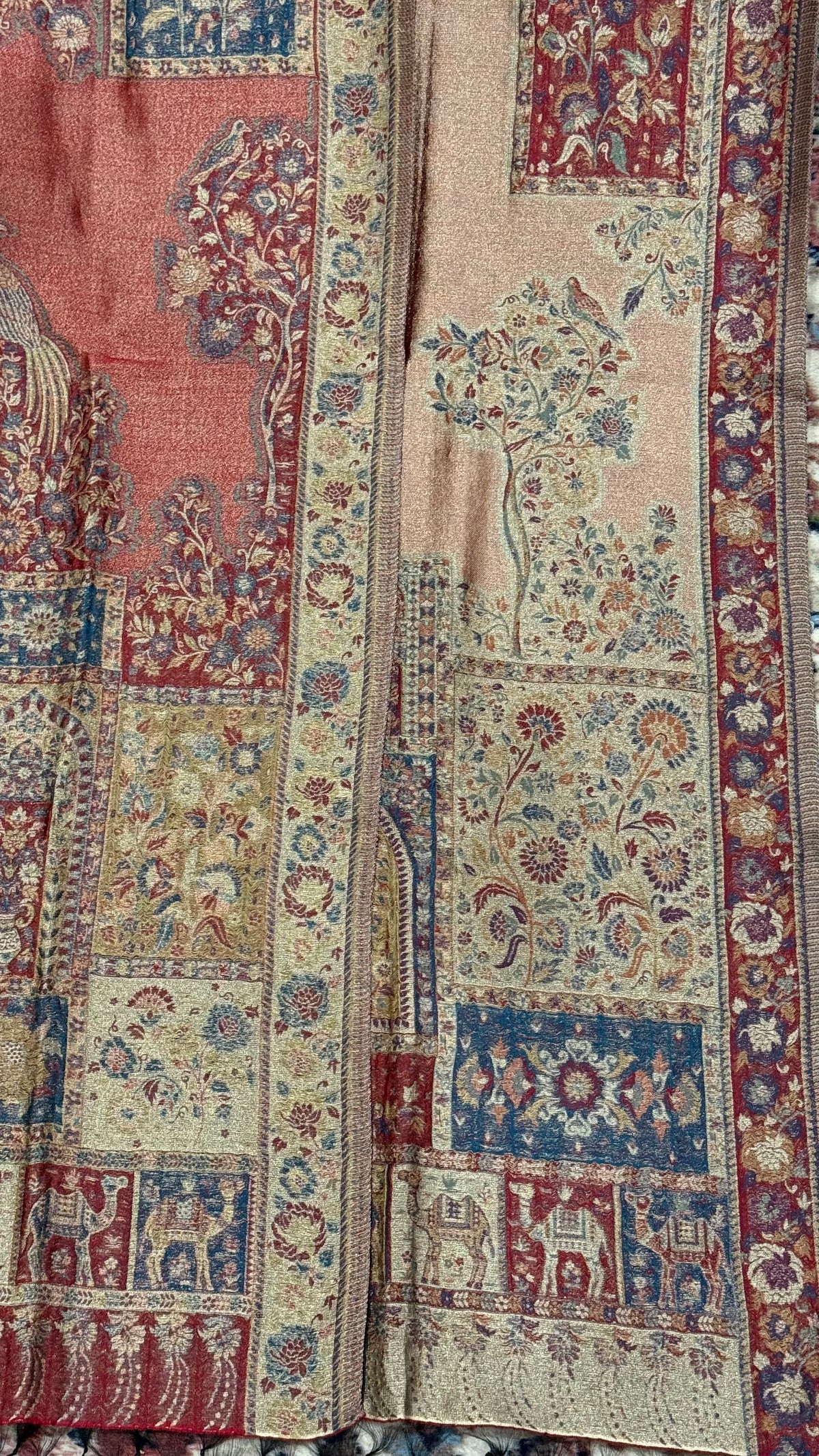 NOOR-E-KANI