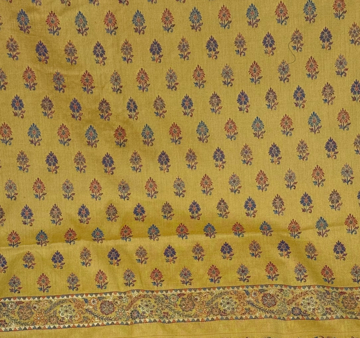 Chinar-e-Noor
