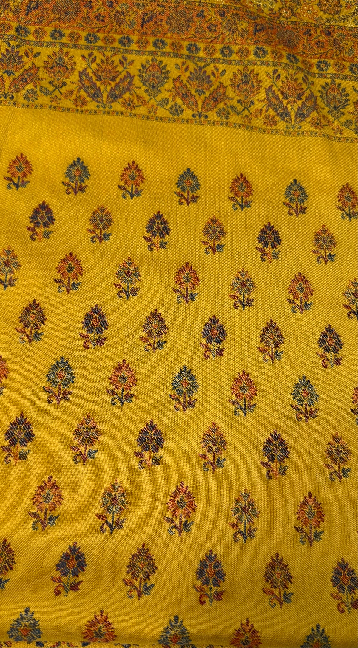 Chinar-e-Noor